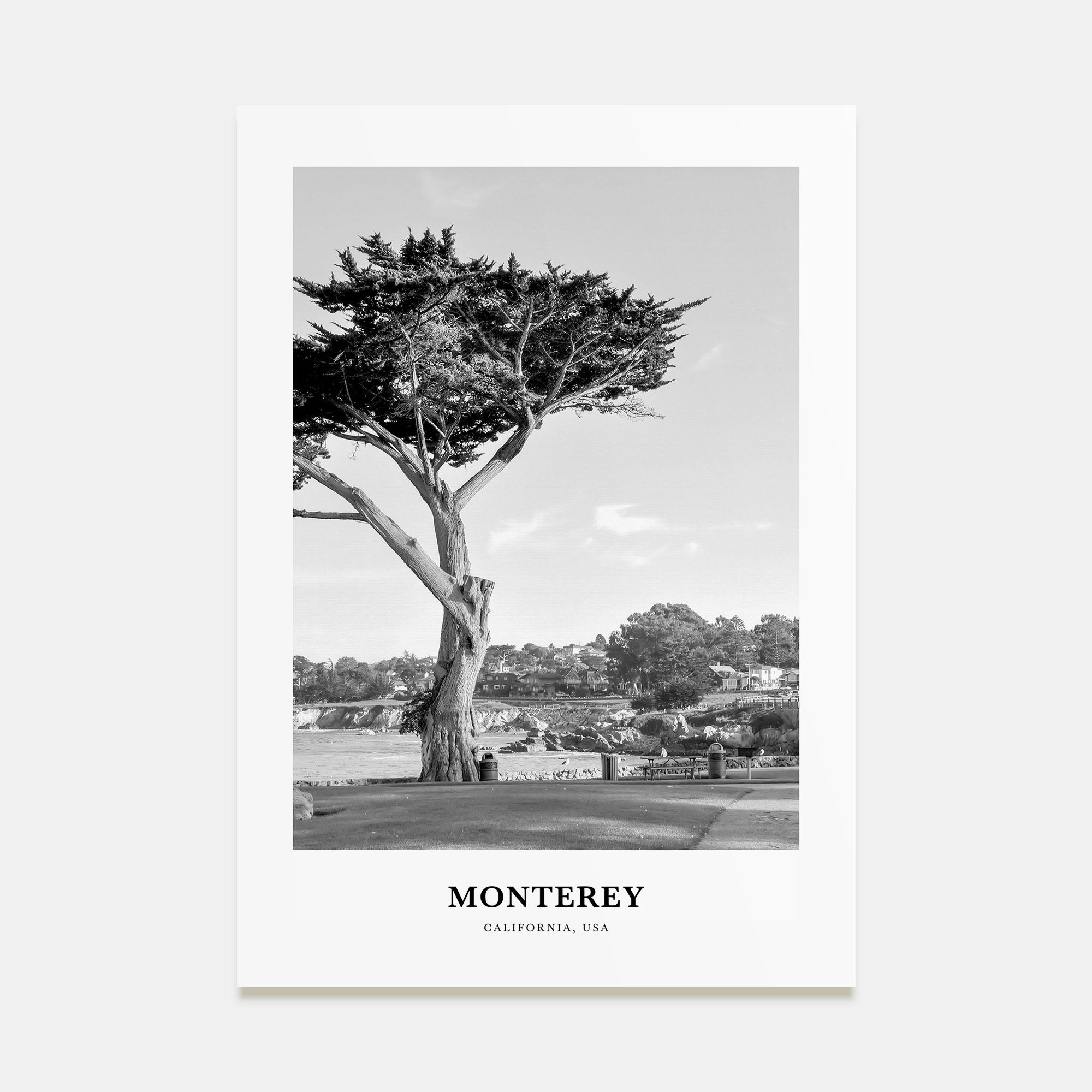 Monterey Portrait B&W Poster