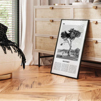Monterey Print Black and White, Monterey Wall Art, Monterey Poster, Monterey Photo, Monterey Wall Decor, USA, United States, North America