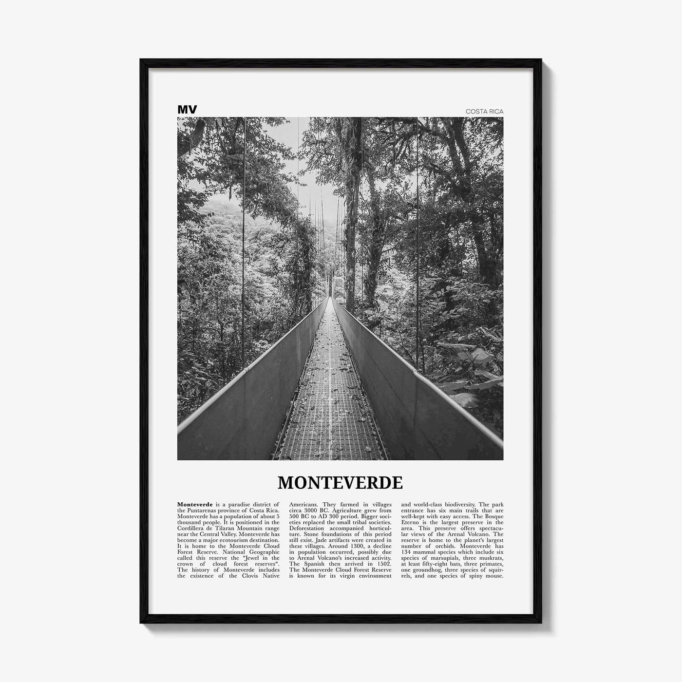 Monteverde Print Black and White, Monteverde Wall Art, Monteverde Poster, Monteverde Photo, Monteverde Wall Décor, Costa Rica