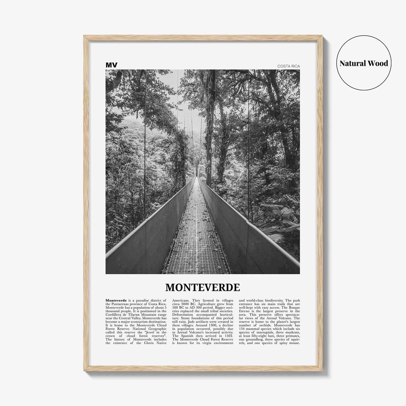 Monteverde Print Black and White, Monteverde Wall Art, Monteverde Poster, Monteverde Photo, Monteverde Wall Décor, Costa Rica