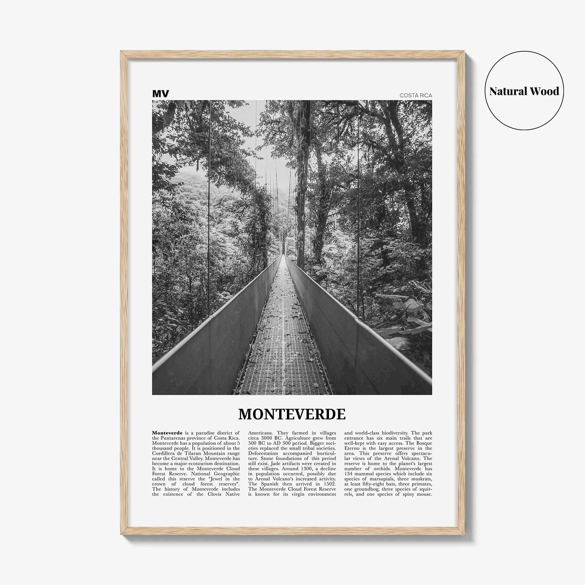 Monteverde Print Black and White, Monteverde Wall Art, Monteverde Poster, Monteverde Photo, Monteverde Wall Décor, Costa Rica