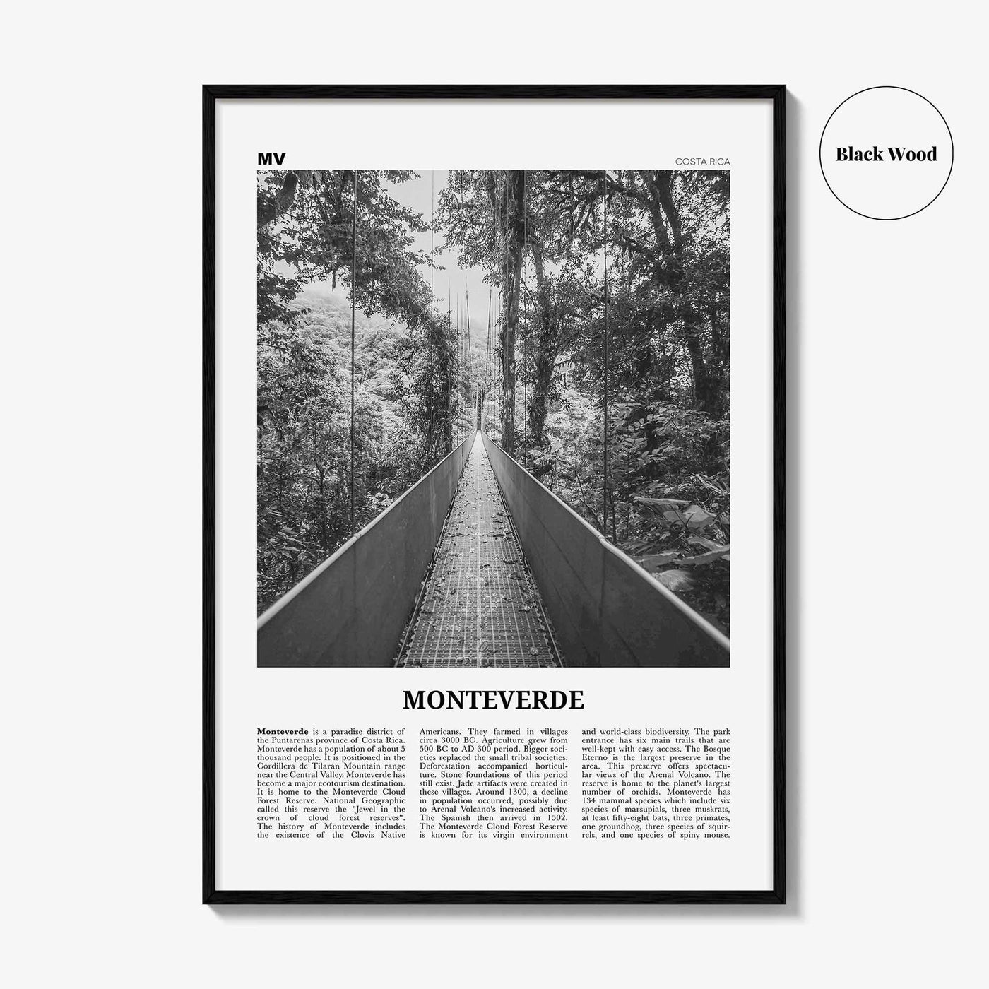 Monteverde Print Black and White, Monteverde Wall Art, Monteverde Poster, Monteverde Photo, Monteverde Wall Décor, Costa Rica