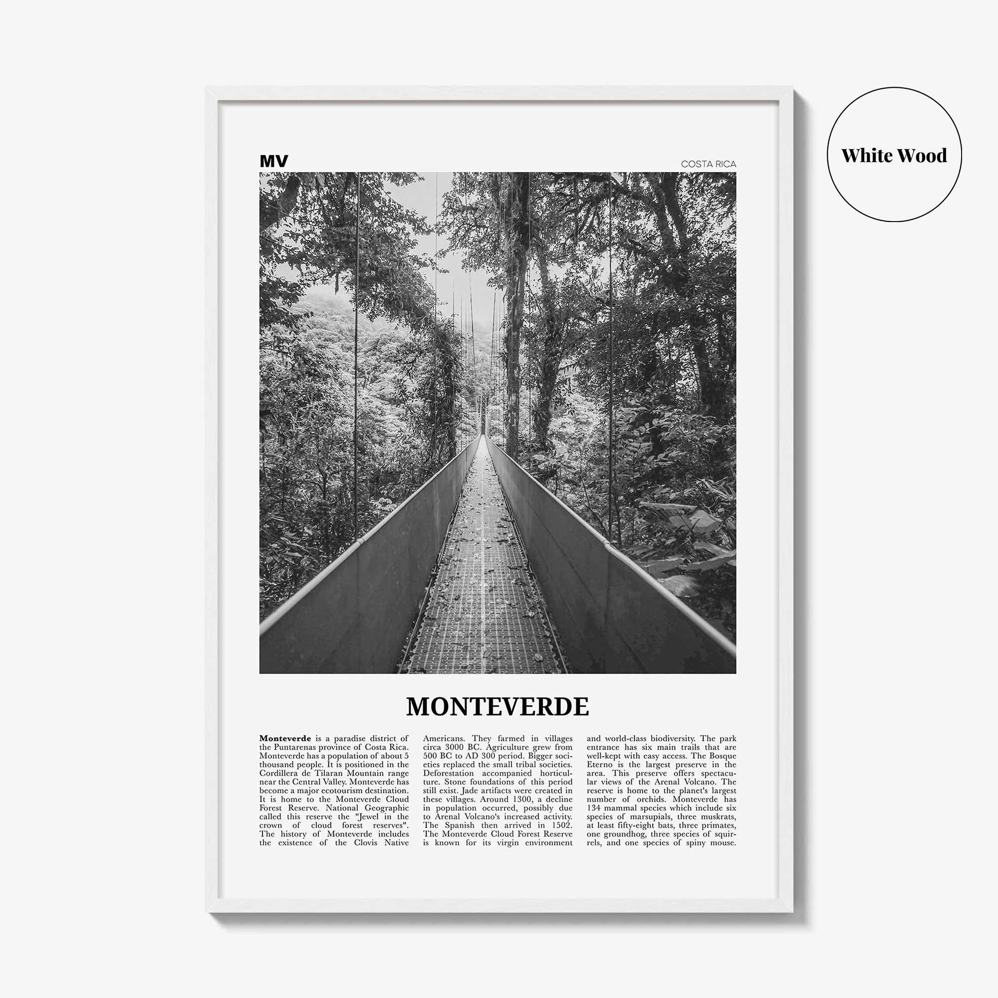 Monteverde Print Black and White, Monteverde Wall Art, Monteverde Poster, Monteverde Photo, Monteverde Wall Décor, Costa Rica