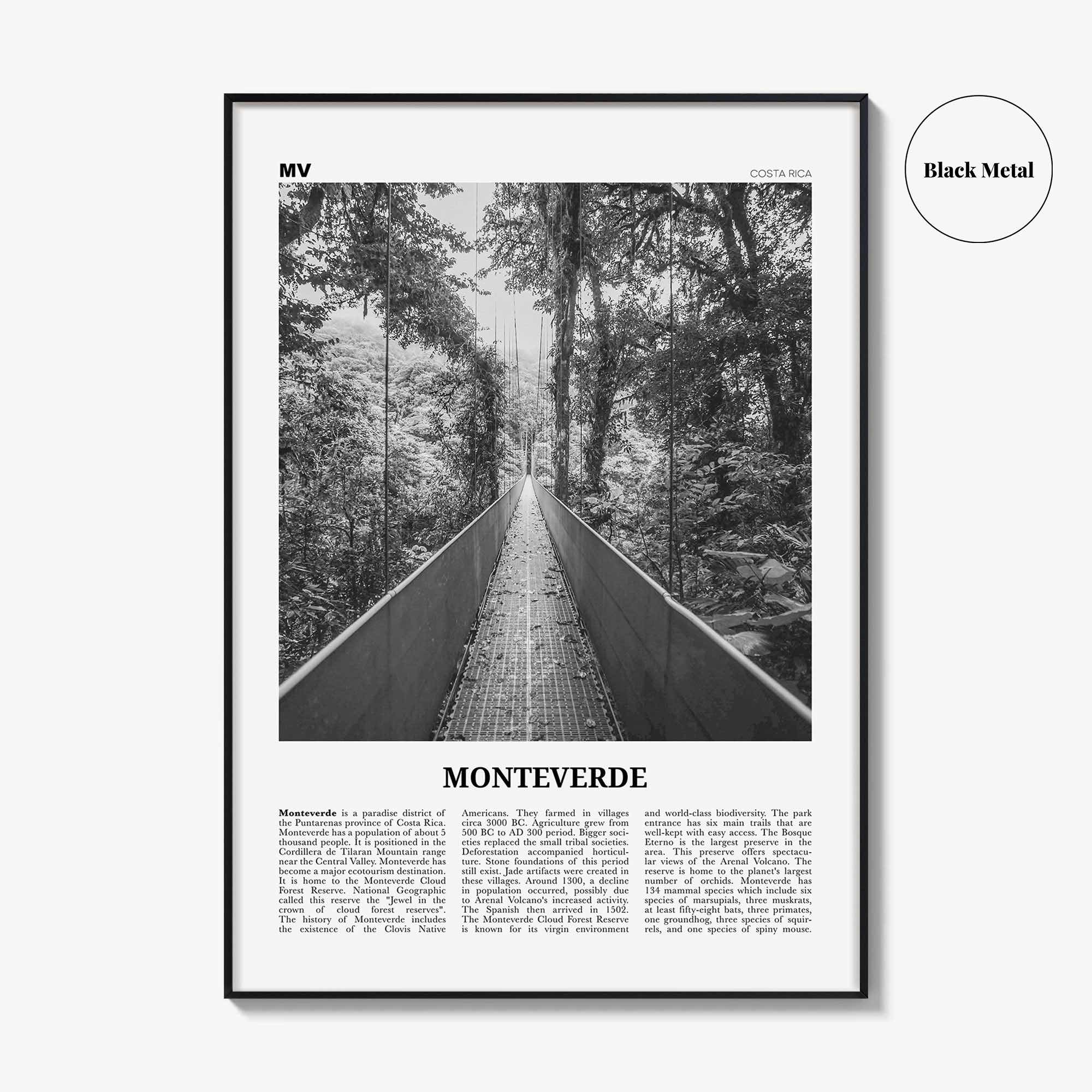 Monteverde Print Black and White, Monteverde Wall Art, Monteverde Poster, Monteverde Photo, Monteverde Wall Décor, Costa Rica