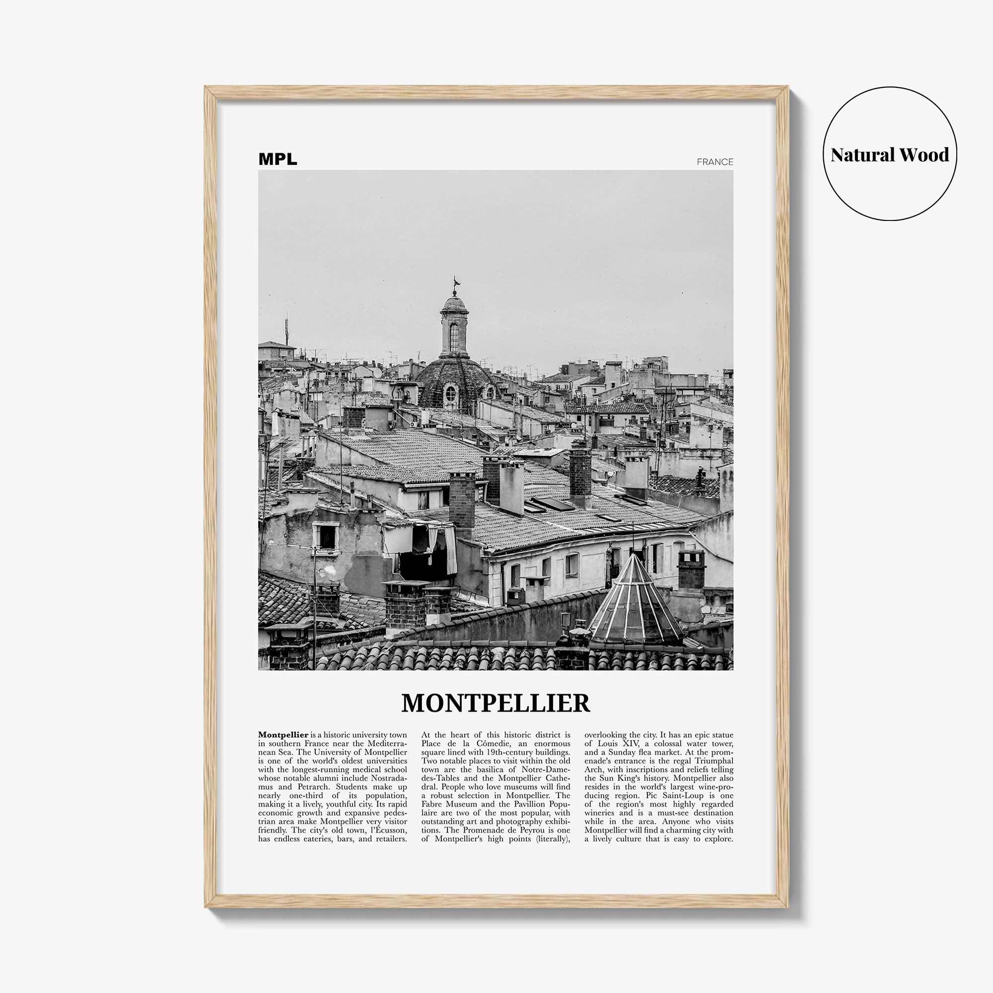 Montpellier Print Black and White, Montpellier Wall Art, Montpellier Poster, Montpellier Photo, France, Montpelhièr, Hérault