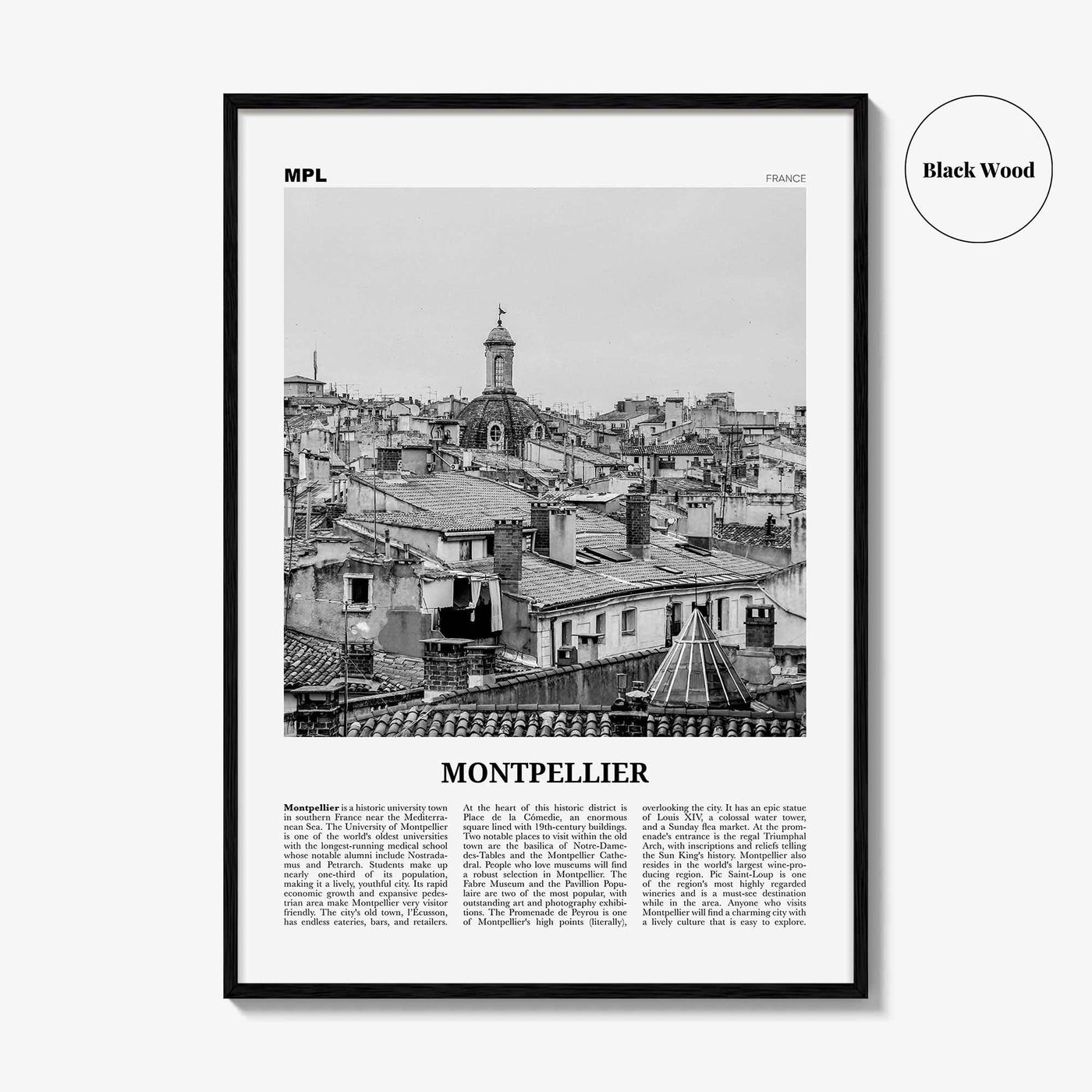 Montpellier Print Black and White, Montpellier Wall Art, Montpellier Poster, Montpellier Photo, France, Montpelhièr, Hérault