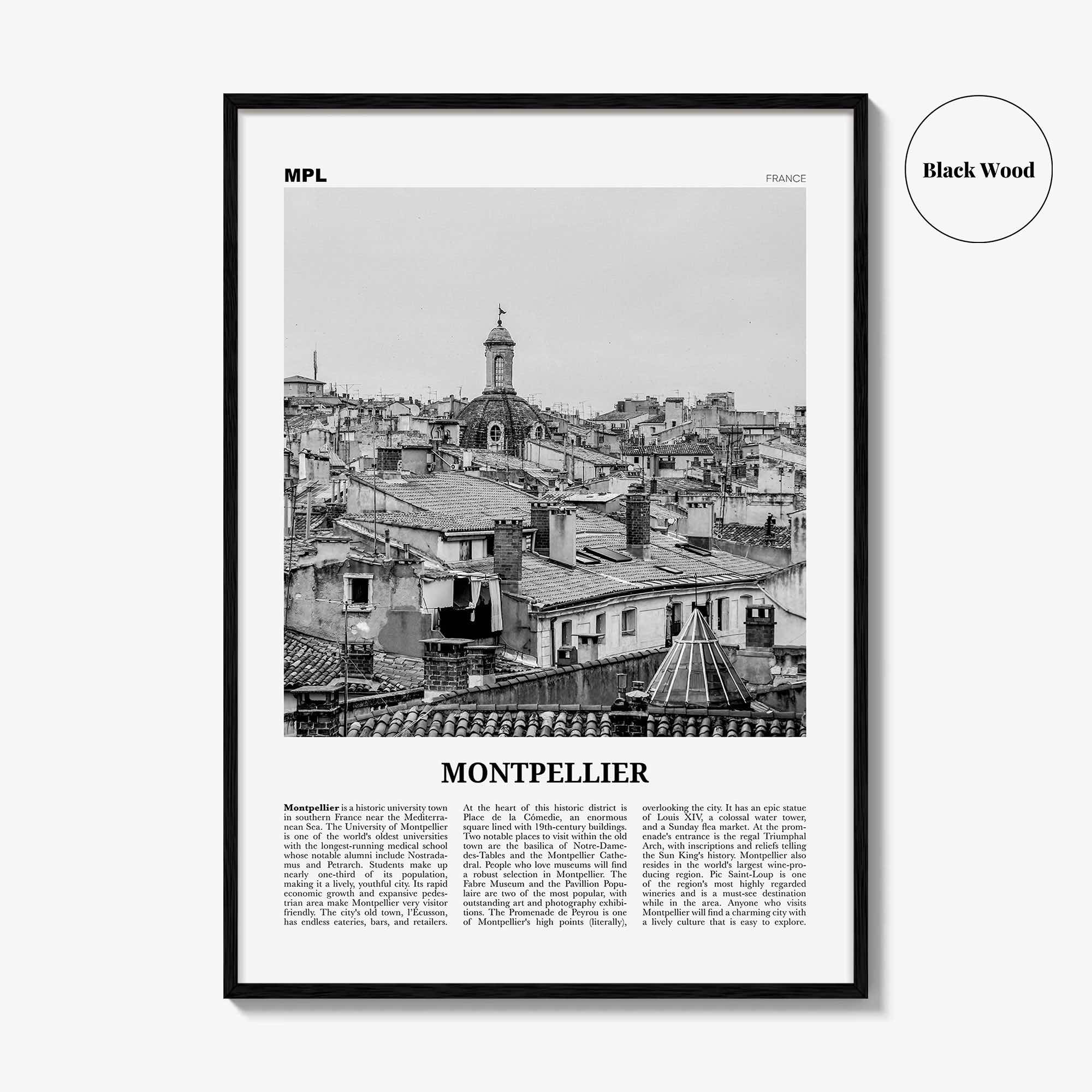 Montpellier Print Black and White, Montpellier Wall Art, Montpellier Poster, Montpellier Photo, France, Montpelhièr, Hérault