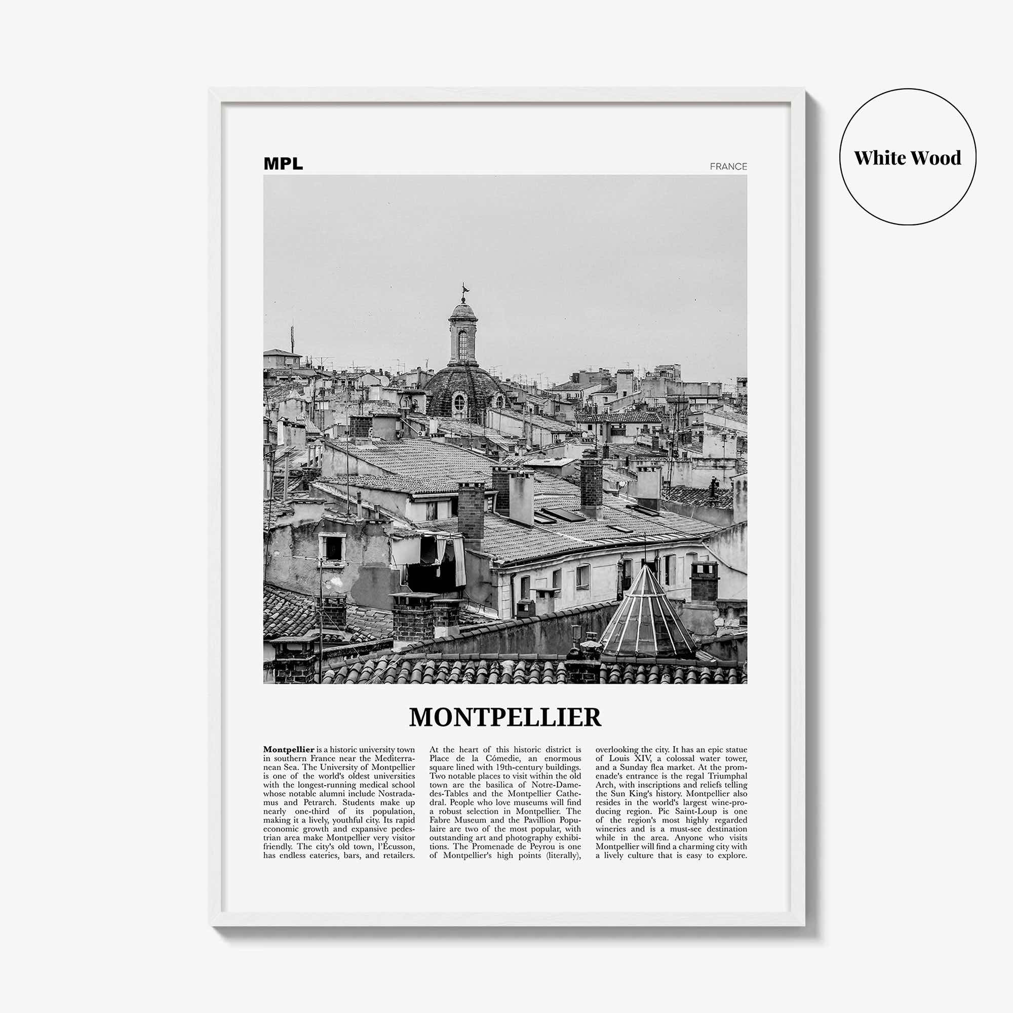 Montpellier Print Black and White, Montpellier Wall Art, Montpellier Poster, Montpellier Photo, France, Montpelhièr, Hérault