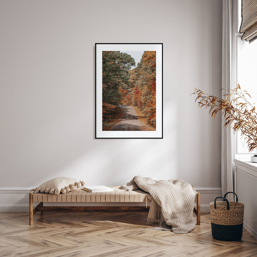 Morgantown Photo Color Poster
