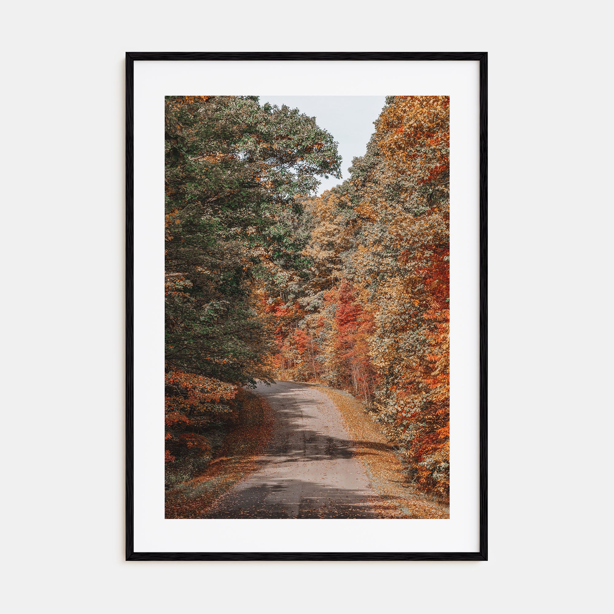 Morgantown Photo Color Poster