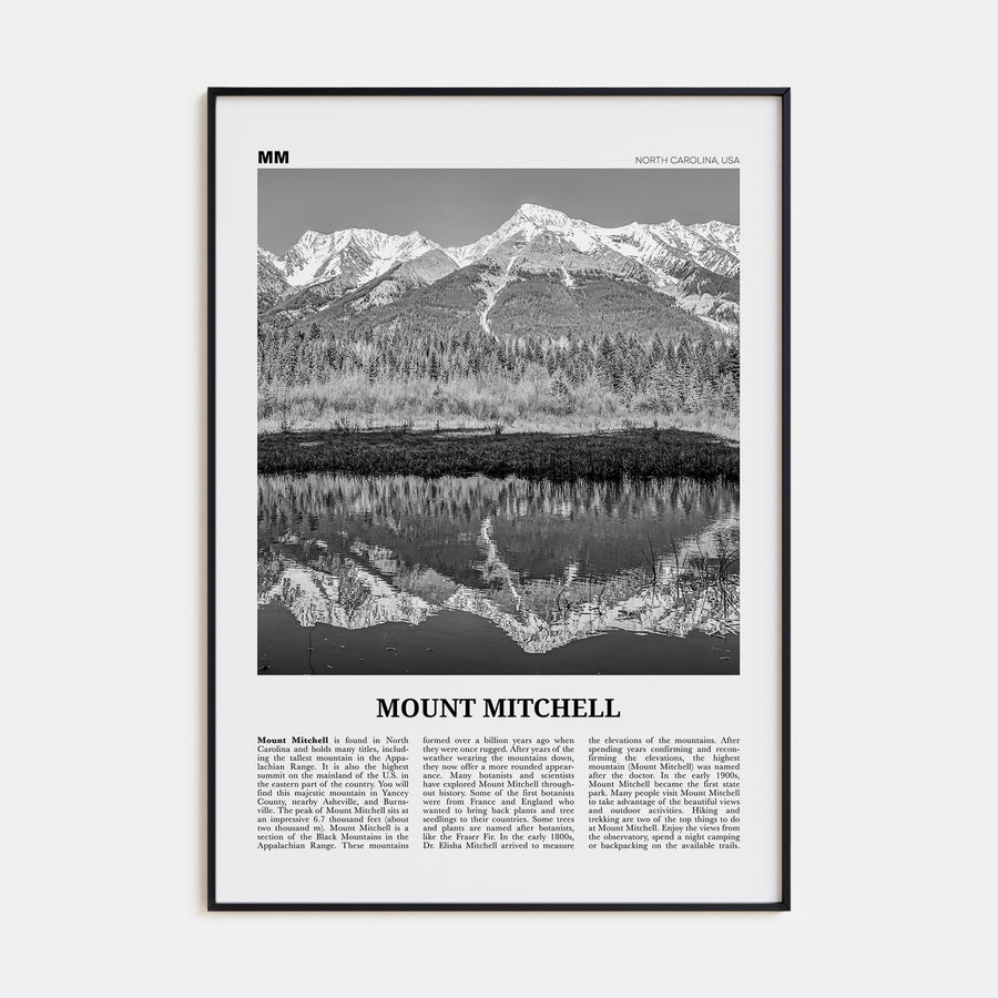 Mount Mitchell Travel B&W Poster