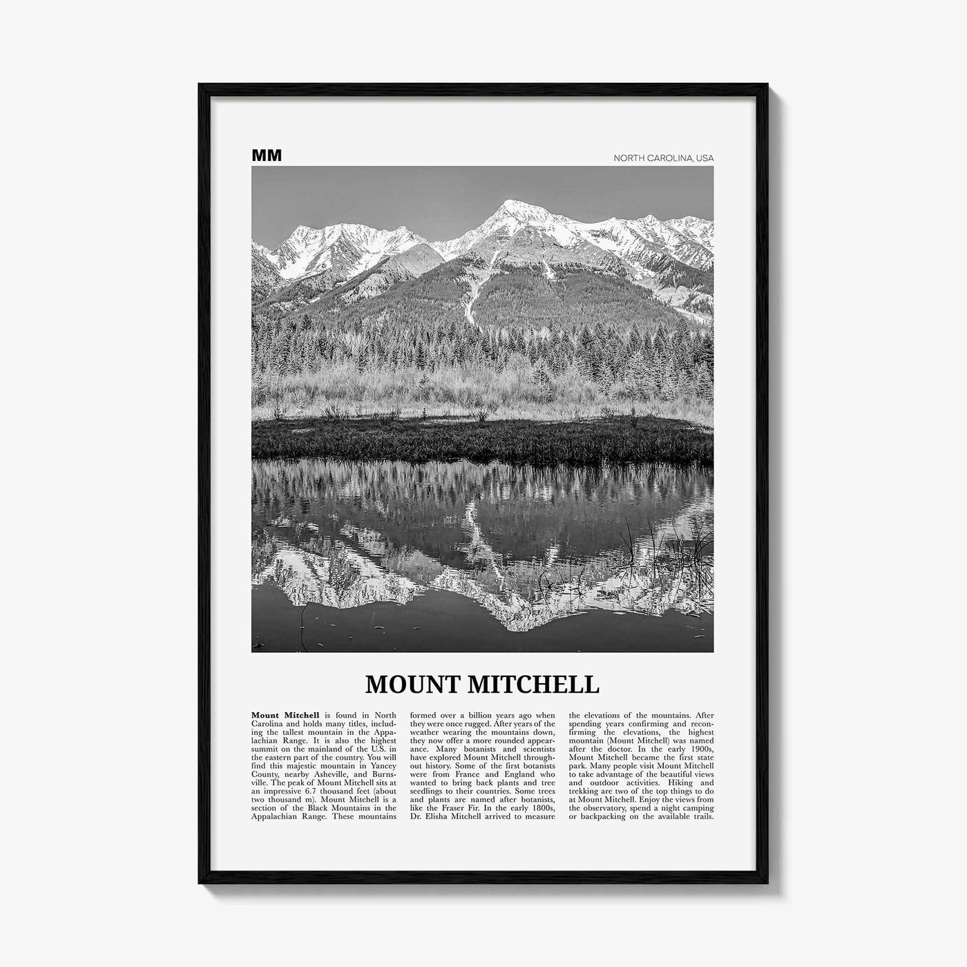Mount Mitchell Print Black and White, Mount Mitchell Wall Art, Mount Mitchell Poster, Mount Mitchell Photo, North Carolina, USA