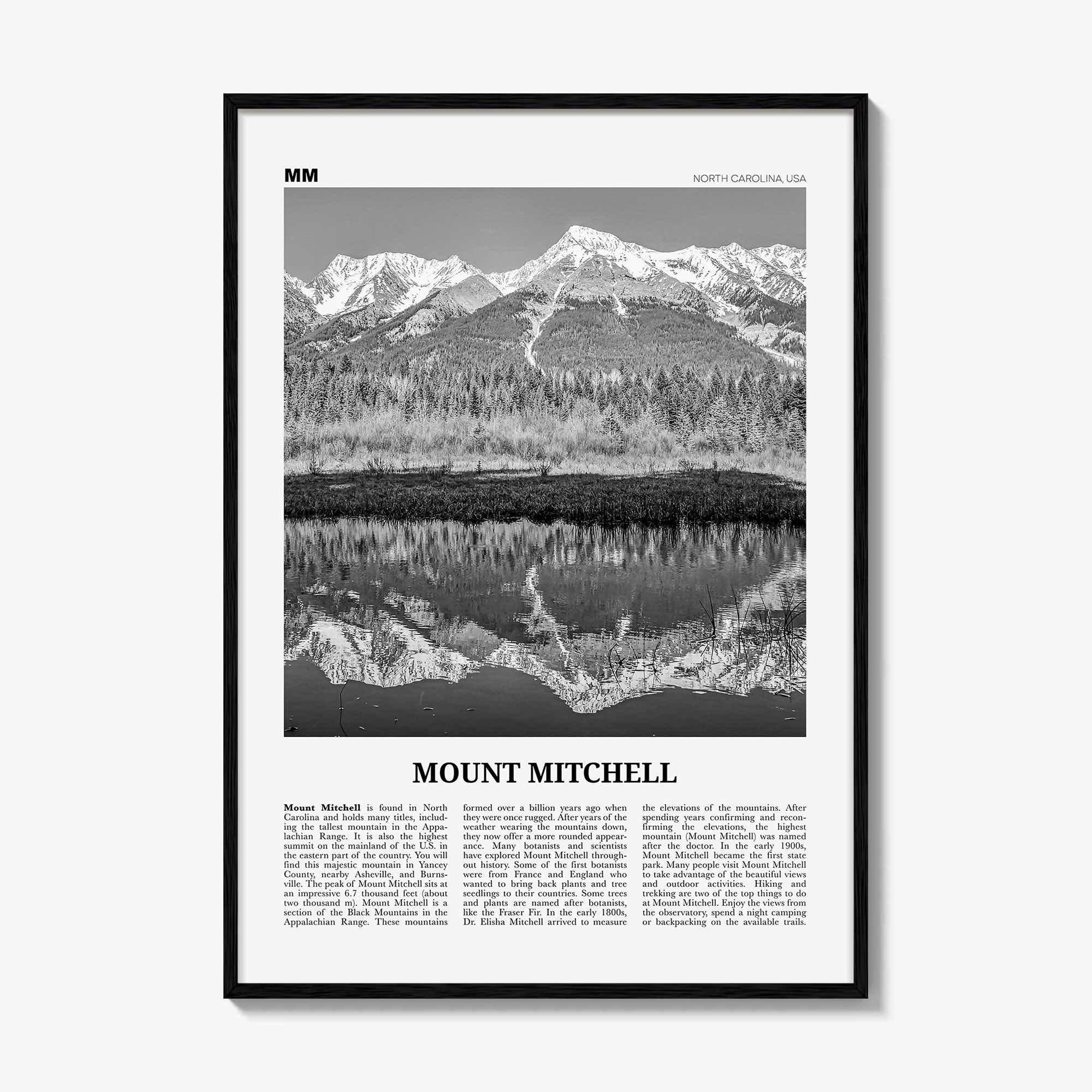 Mount Mitchell Print Black and White, Mount Mitchell Wall Art, Mount Mitchell Poster, Mount Mitchell Photo, North Carolina, USA