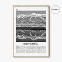 Mount Mitchell Print Black and White, Mount Mitchell Wall Art, Mount Mitchell Poster, Mount Mitchell Photo, North Carolina, USA