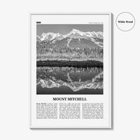 Mount Mitchell Print Black and White, Mount Mitchell Wall Art, Mount Mitchell Poster, Mount Mitchell Photo, North Carolina, USA