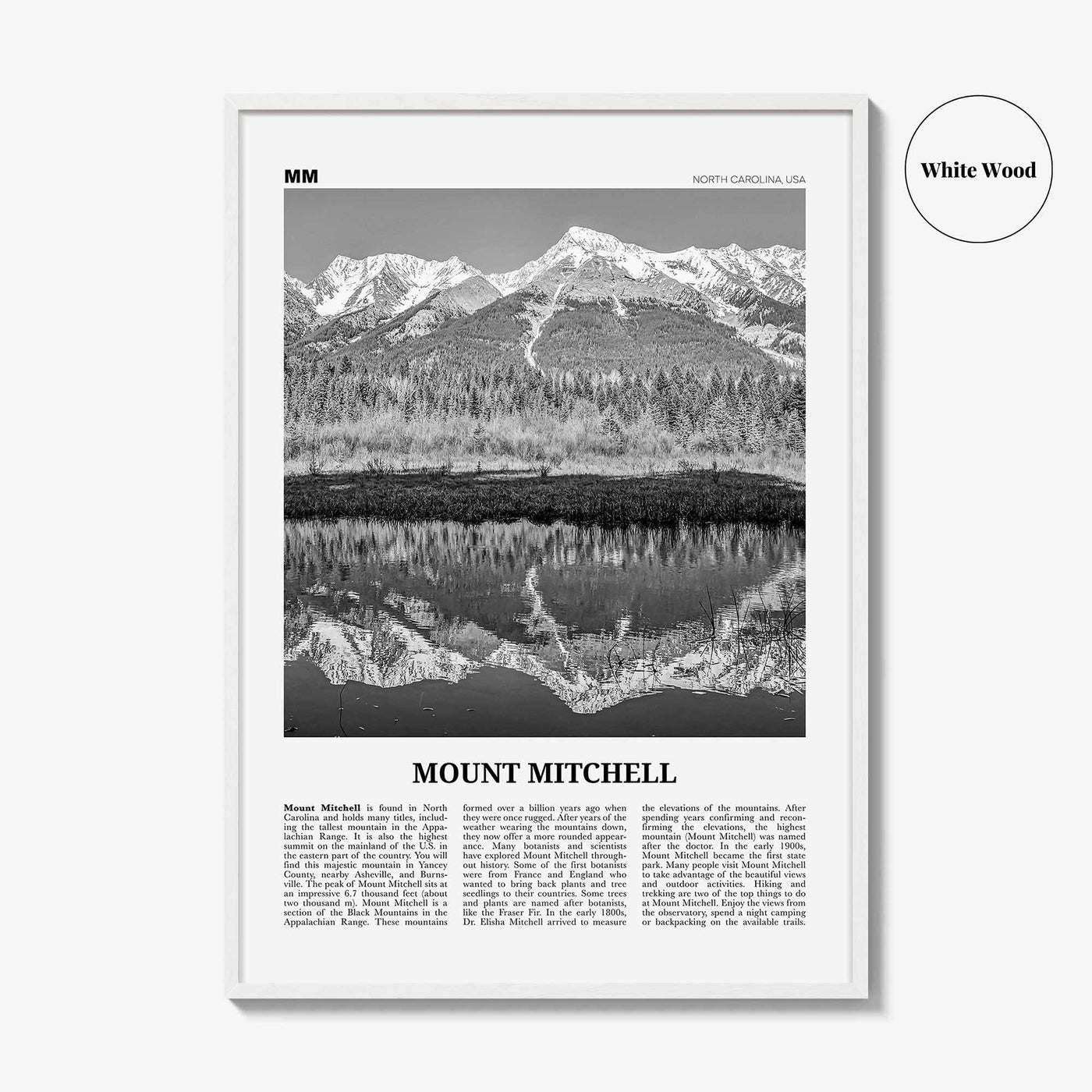 Mount Mitchell Print Black and White, Mount Mitchell Wall Art, Mount Mitchell Poster, Mount Mitchell Photo, North Carolina, USA