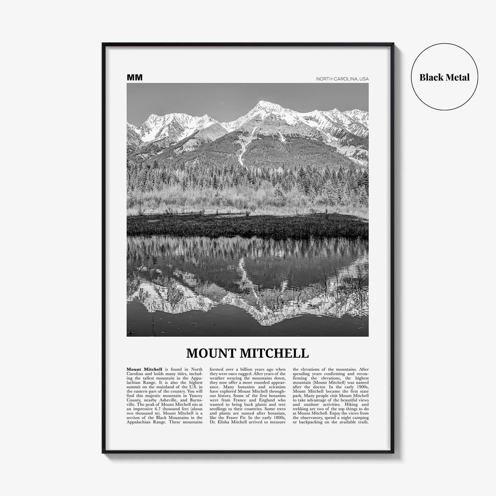 Mount Mitchell Print Black and White, Mount Mitchell Wall Art, Mount Mitchell Poster, Mount Mitchell Photo, North Carolina, USA