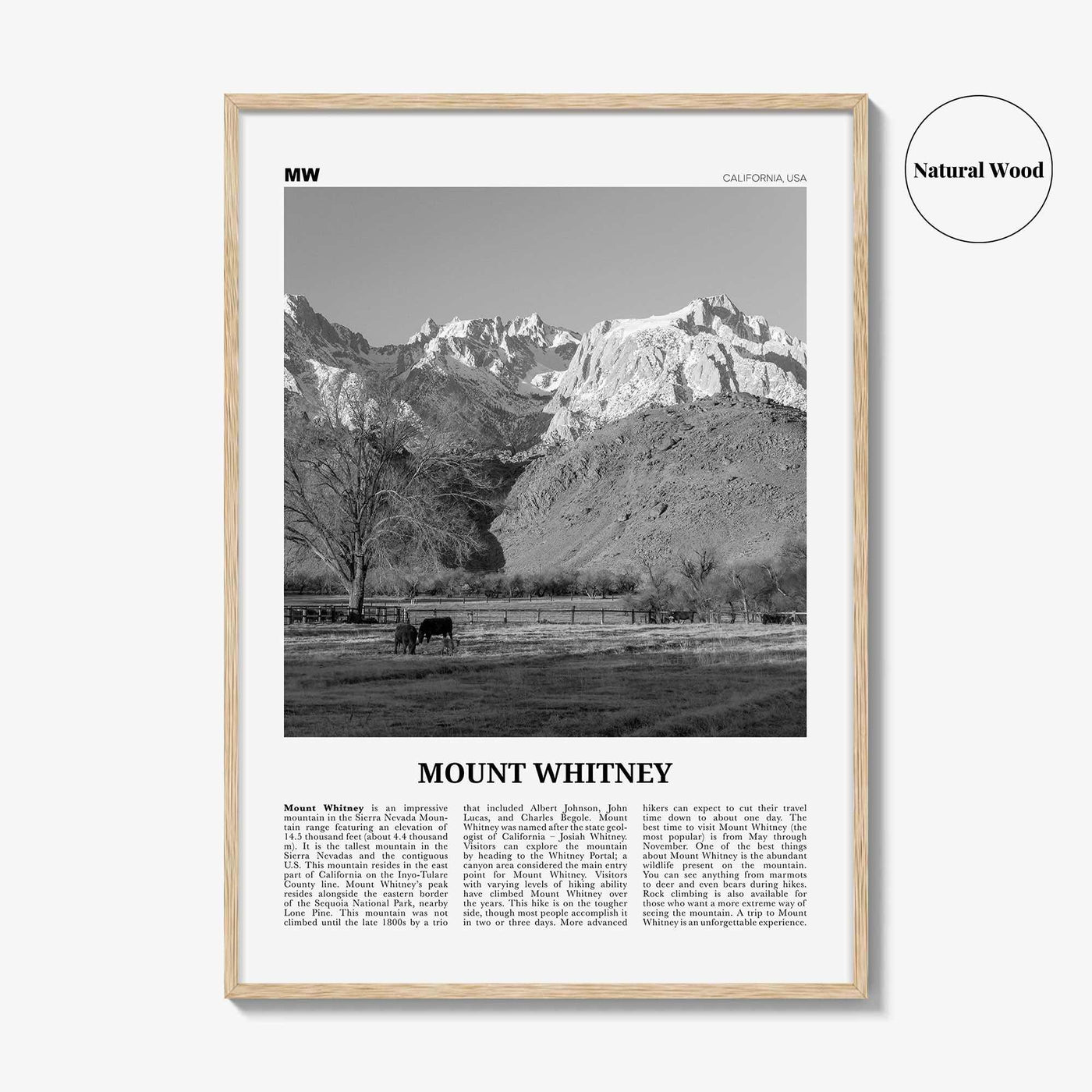 Mount Whitney Print Black and White, Mount Whitney Wall Art, Mount Whitney Poster, Mount Whitney Photo, Mount Whitney Décor, California, USA