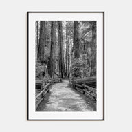 Muir Woods National Monument Photo B&W Poster