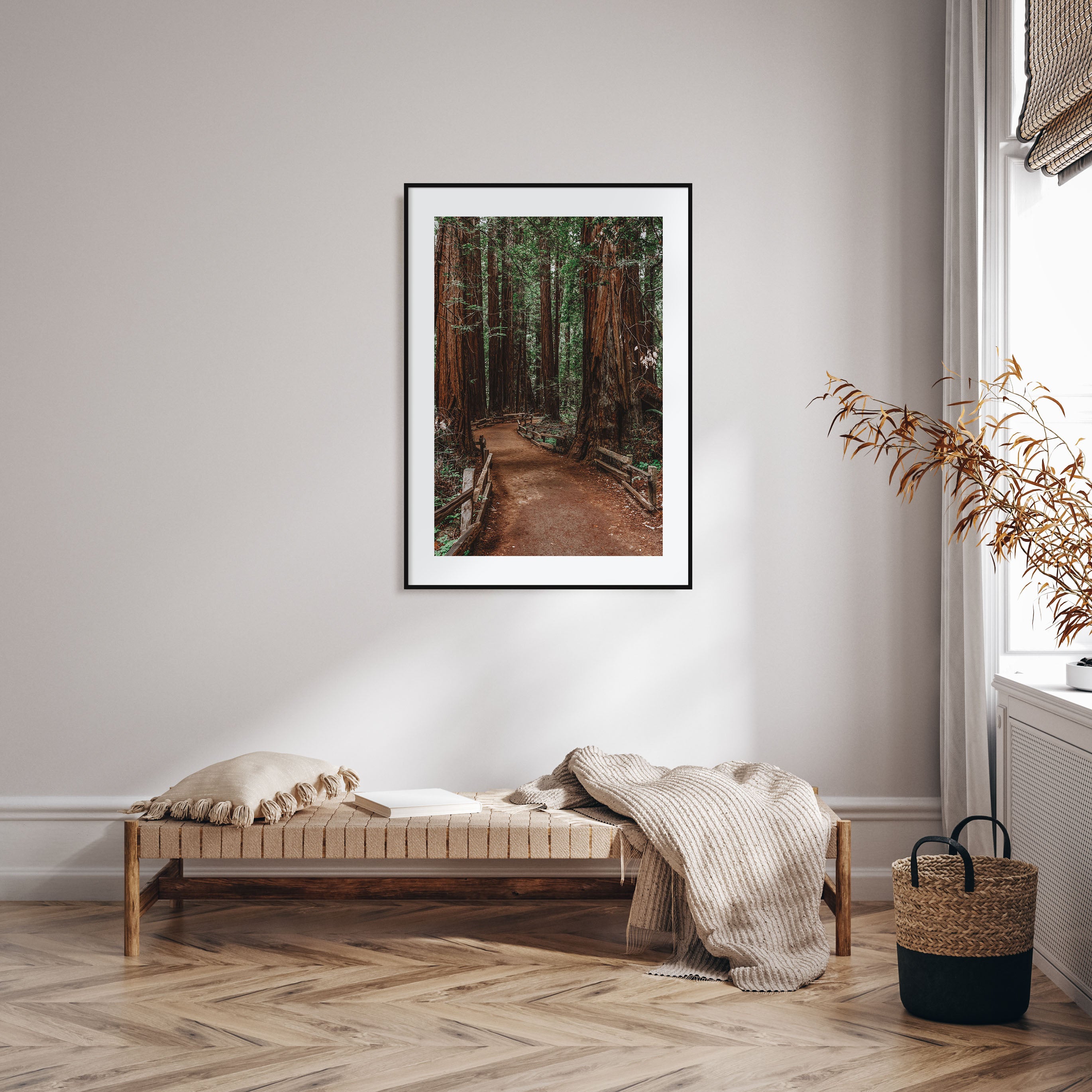 Muir Woods National Monument Photo Color Poster