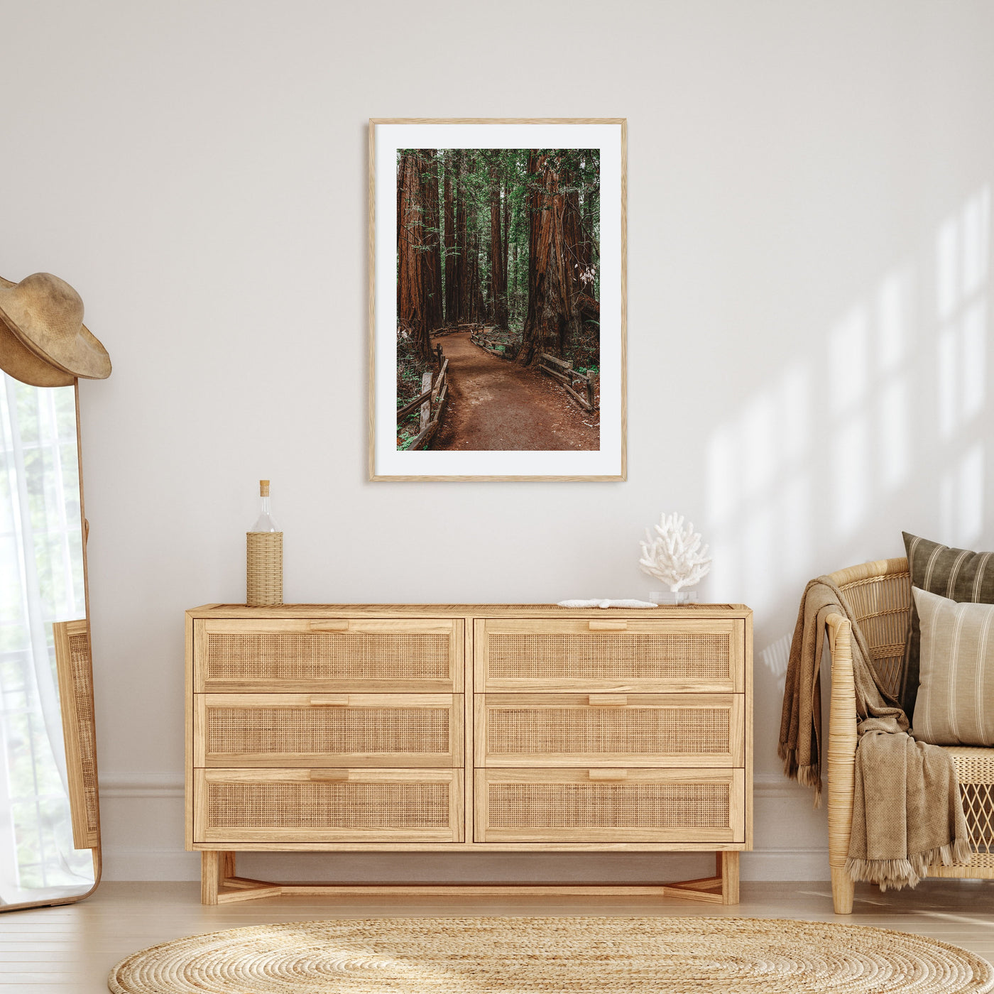 Muir Woods National Monument Photo Color Poster
