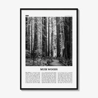 Muir Woods National Monument Print Black and White, Muir Woods Wall Art, Muir Woods Poster, Muir Woods Photo, California, USA