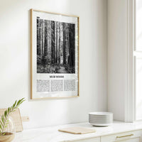 Muir Woods National Monument Print Black and White, Muir Woods Wall Art, Muir Woods Poster, Muir Woods Photo, California, USA