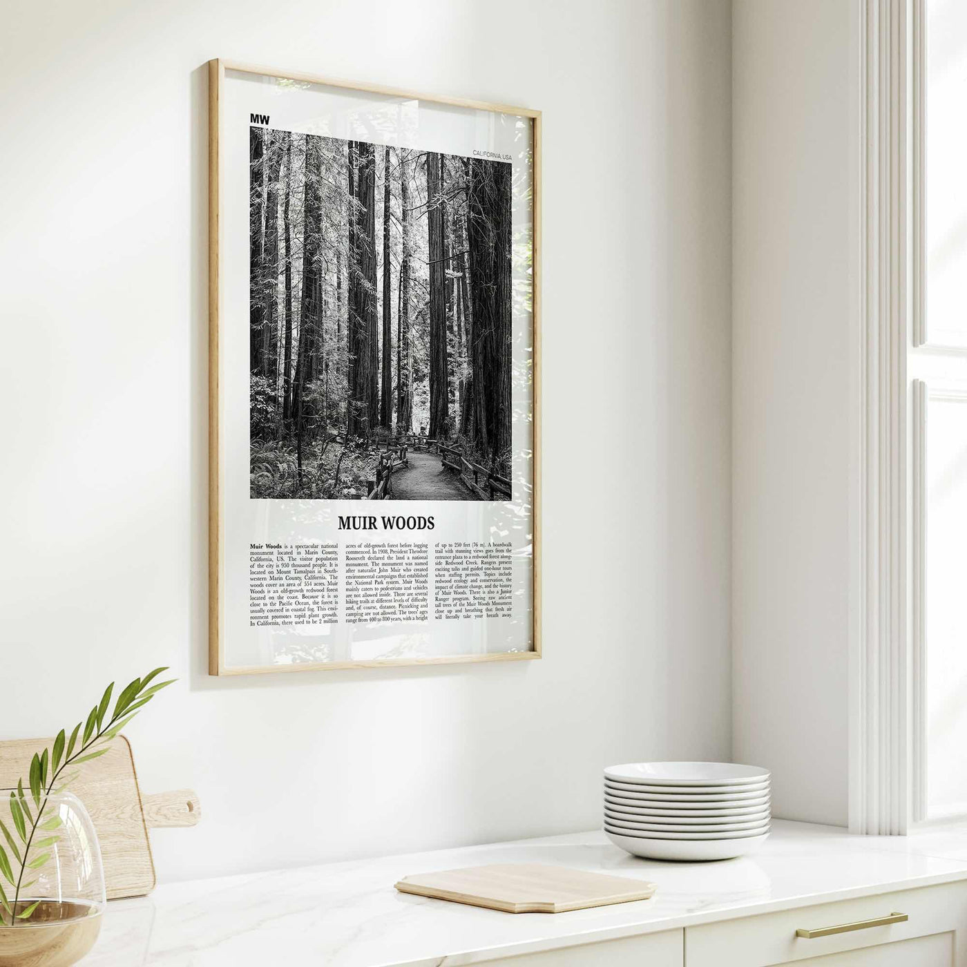 Muir Woods National Monument Print Black and White, Muir Woods Wall Art, Muir Woods Poster, Muir Woods Photo, California, USA