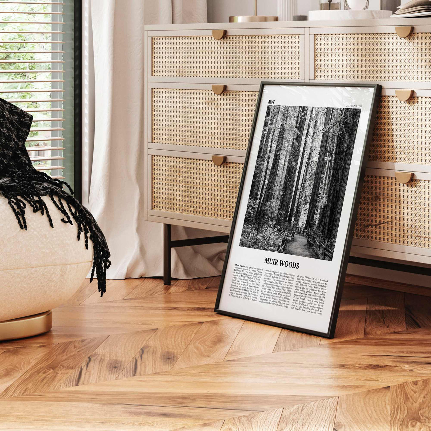 Muir Woods National Monument Print Black and White, Muir Woods Wall Art, Muir Woods Poster, Muir Woods Photo, California, USA