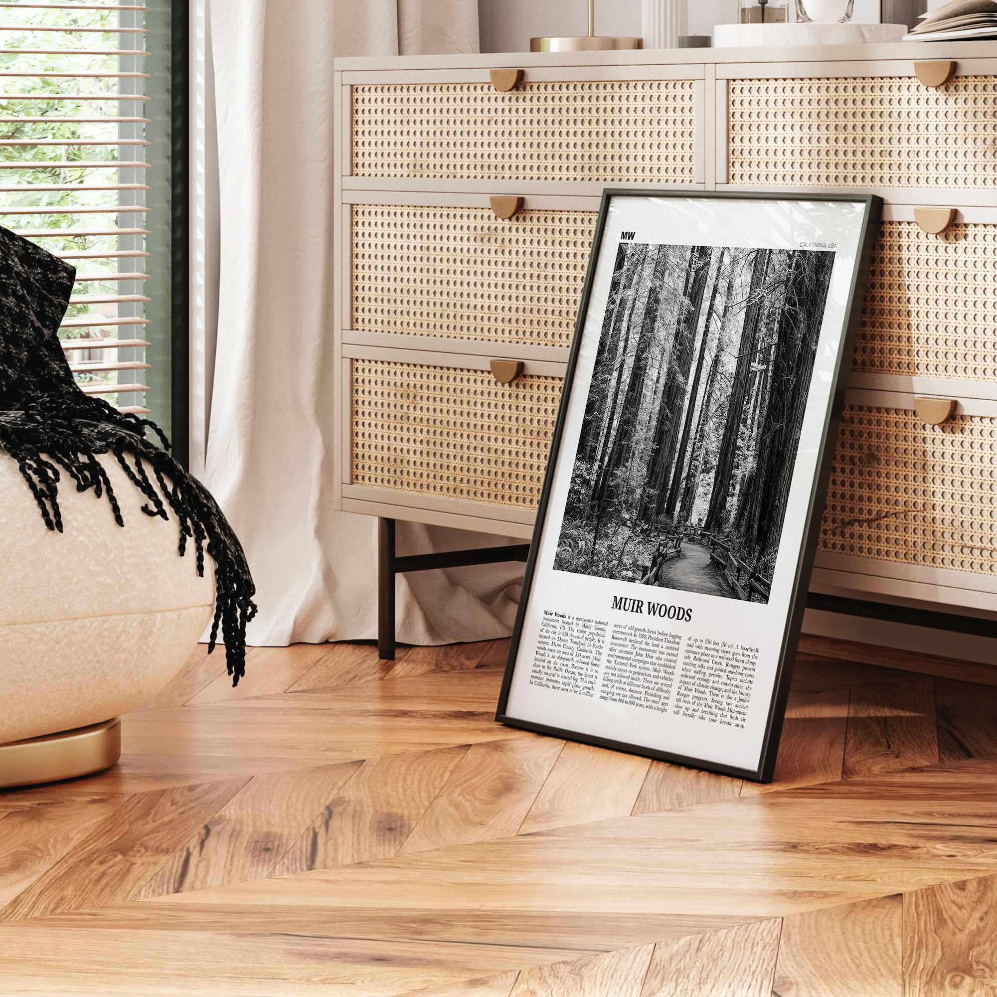 Muir Woods National Monument Print Black and White, Muir Woods Wall Art, Muir Woods Poster, Muir Woods Photo, California, USA