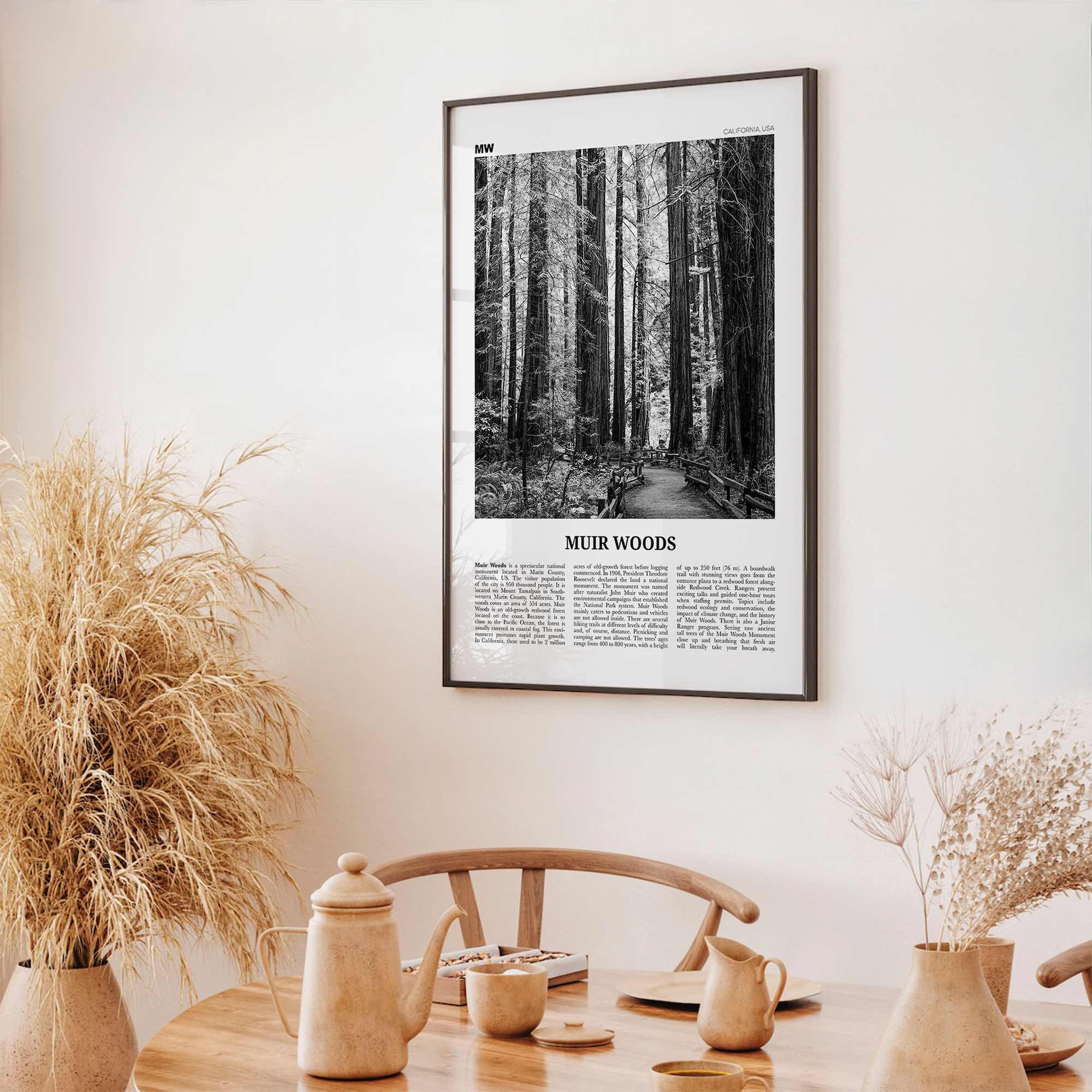 Muir Woods National Monument Print Black and White, Muir Woods Wall Art, Muir Woods Poster, Muir Woods Photo, California, USA