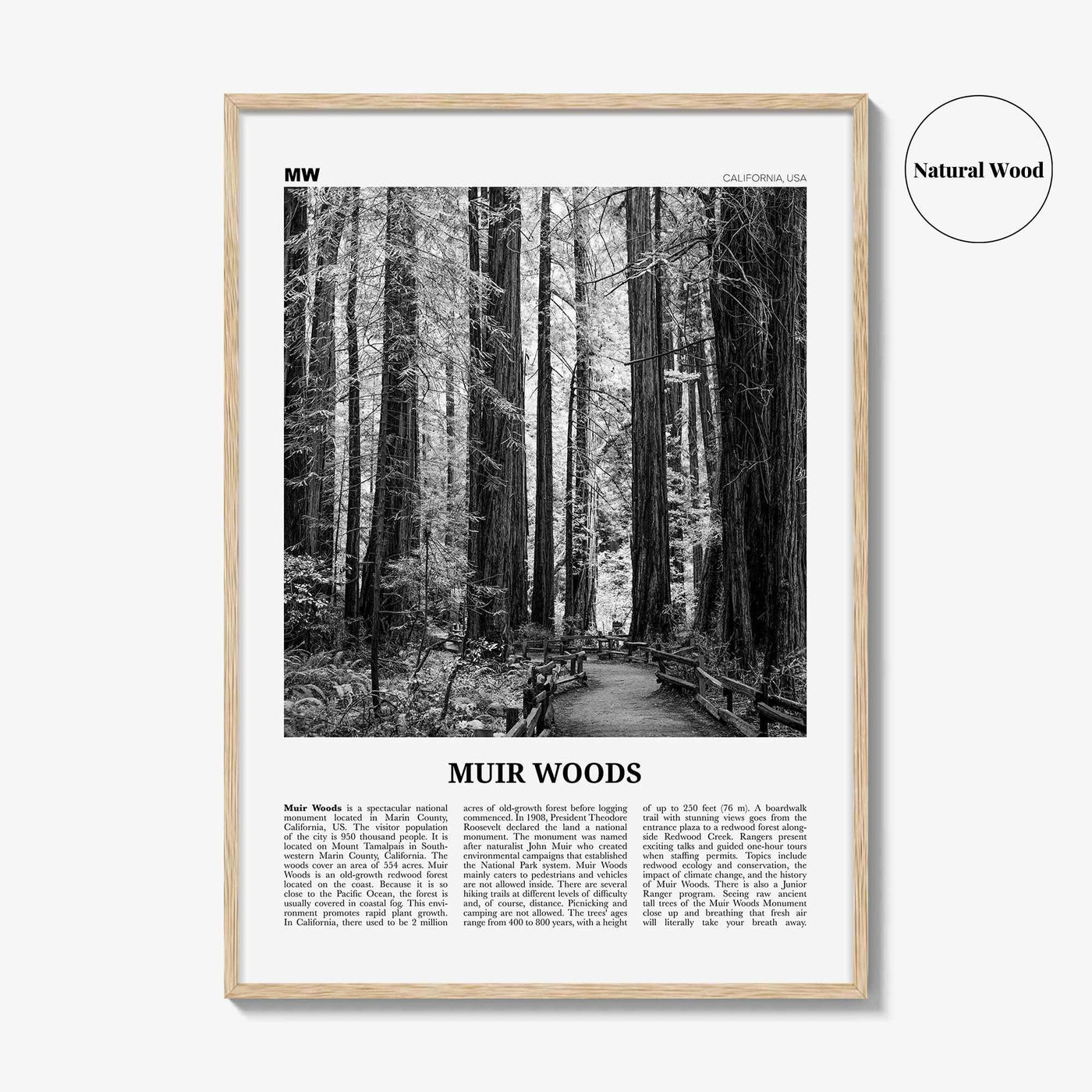 Muir Woods National Monument Print Black and White, Muir Woods Wall Art, Muir Woods Poster, Muir Woods Photo, California, USA