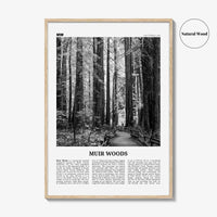 Muir Woods National Monument Print Black and White, Muir Woods Wall Art, Muir Woods Poster, Muir Woods Photo, California, USA