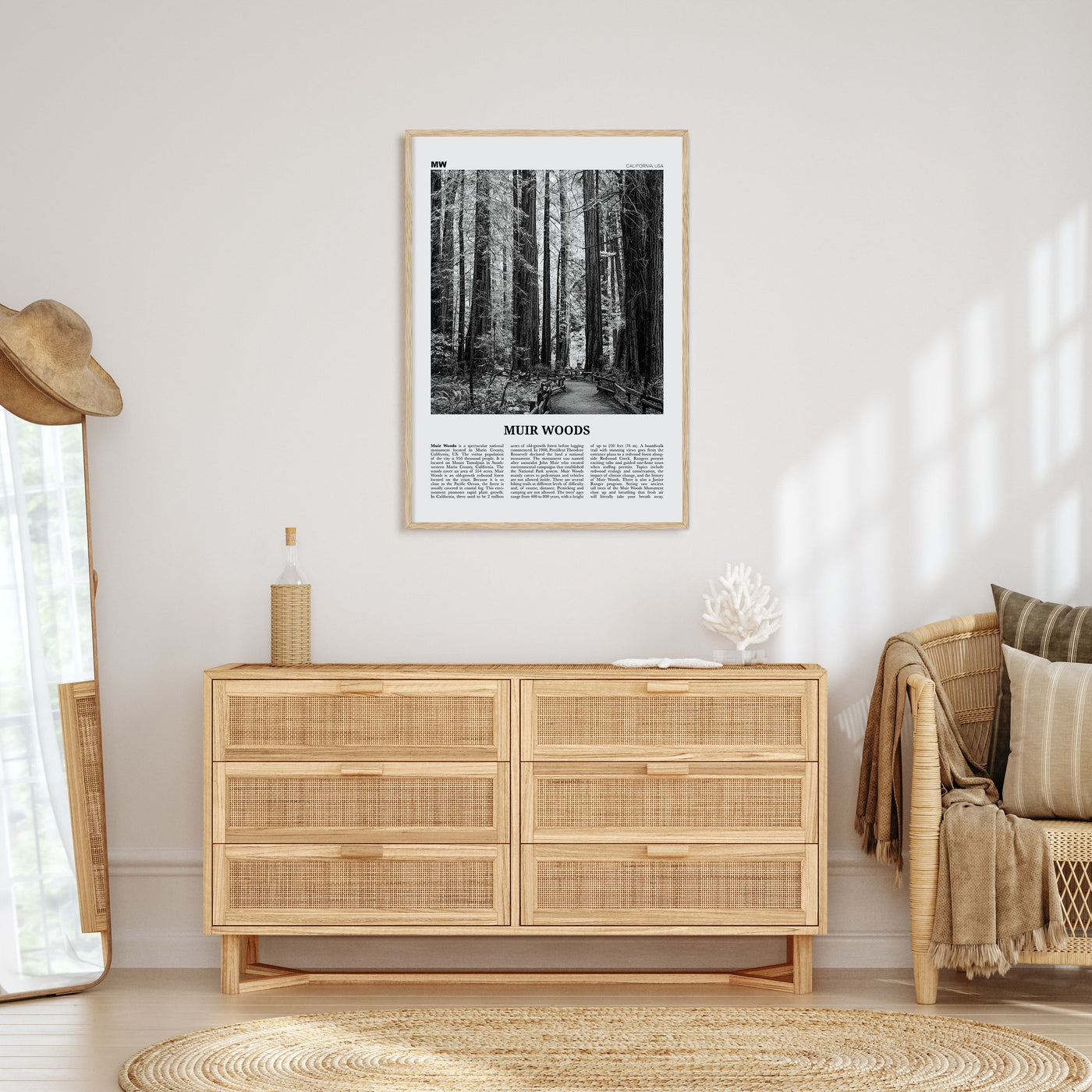Muir Woods National Monument Travel B&W Poster