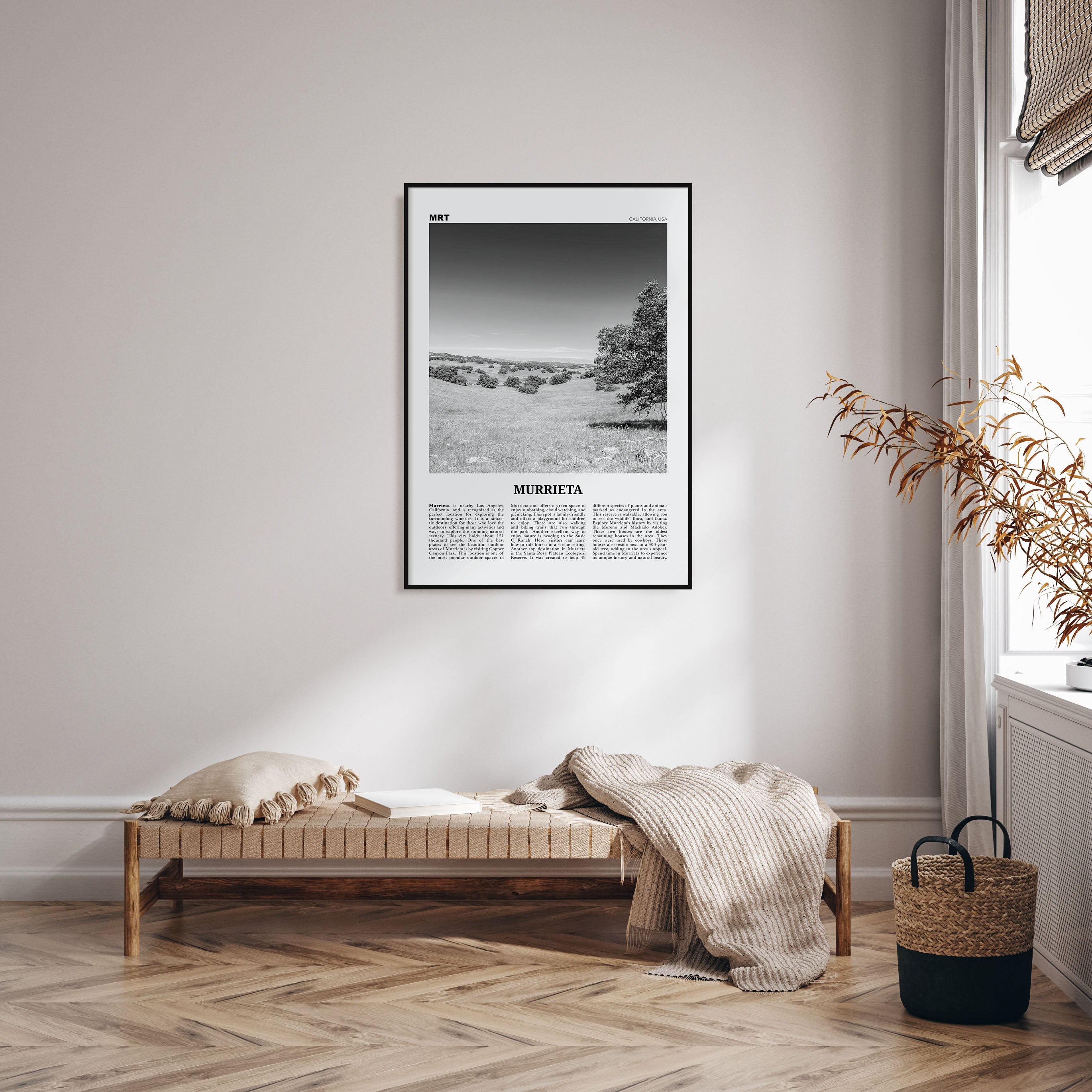 Murrieta Travel B&W No 1 Poster