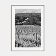 Napa Valley Photo B&W Poster
