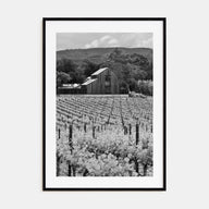 Napa Valley Photo B&W Poster