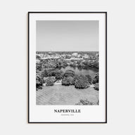 Naperville Portrait B&W Poster