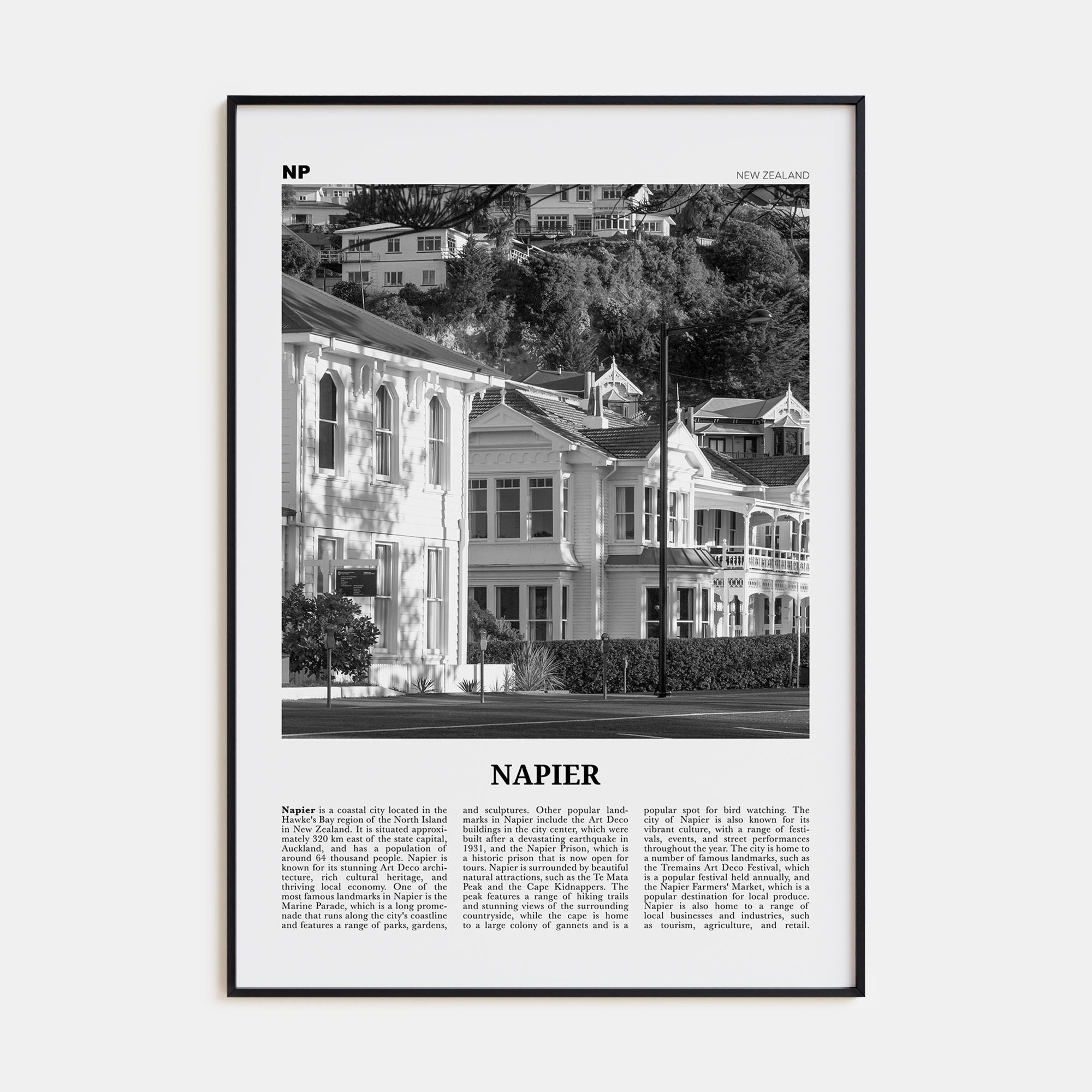 Napier Travel B&W Poster