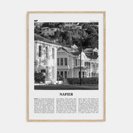 Napier Travel B&W Poster