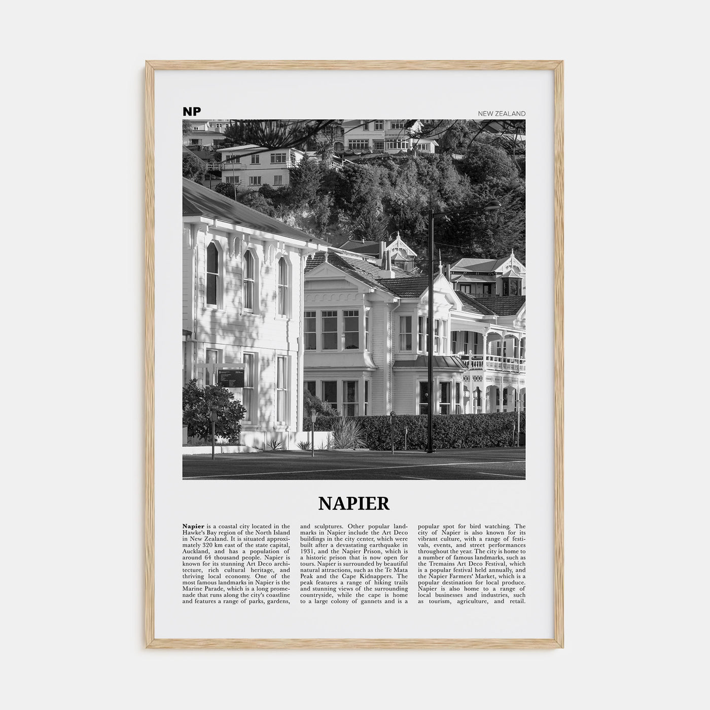 Napier Travel B&W Poster