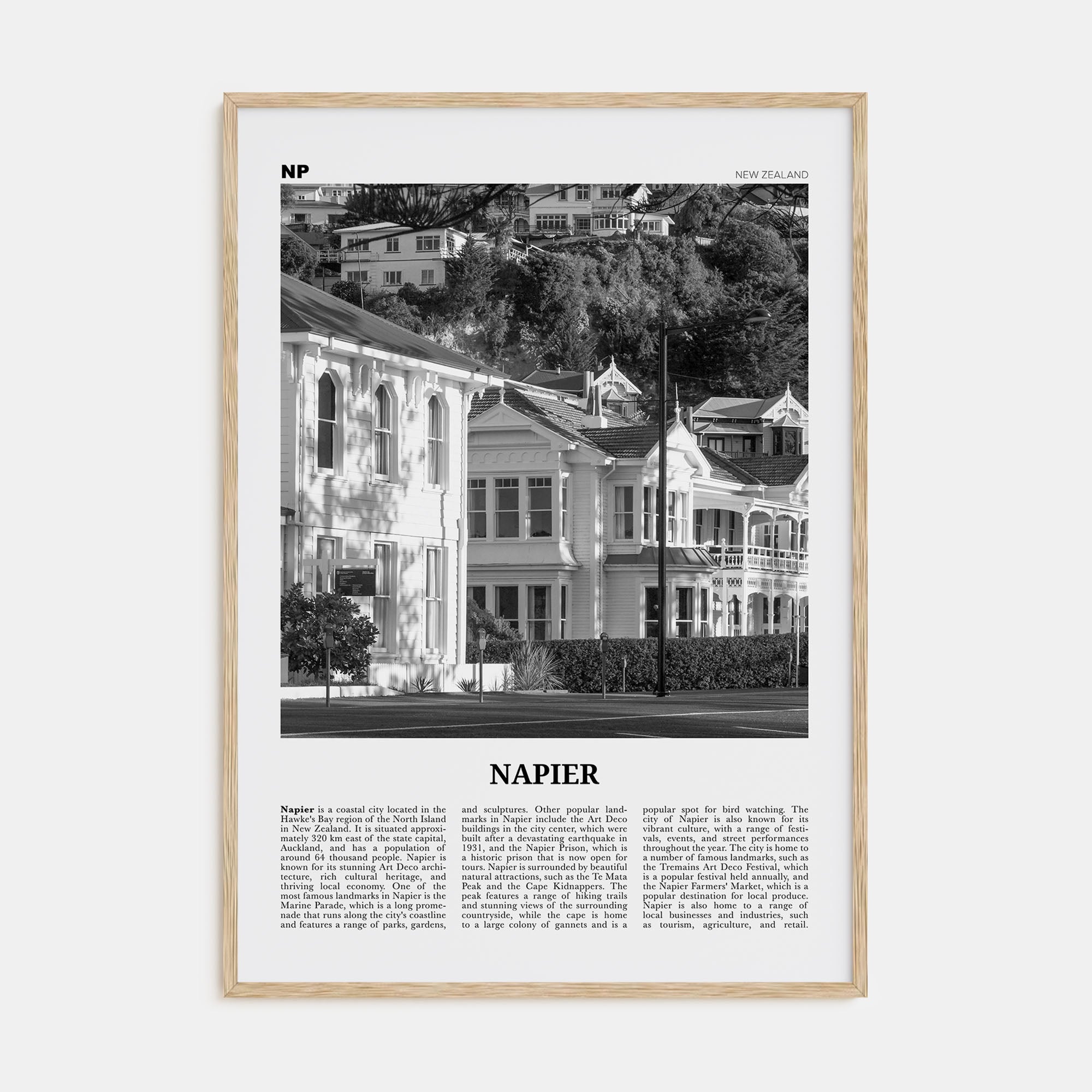 Napier Travel B&W Poster