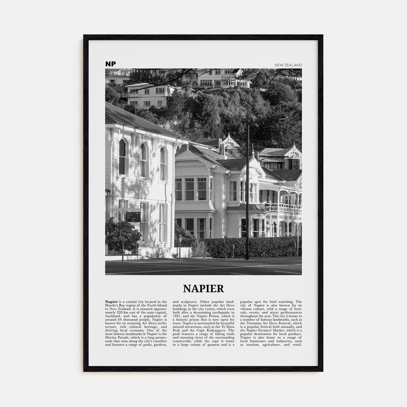 Napier Travel B&W Poster