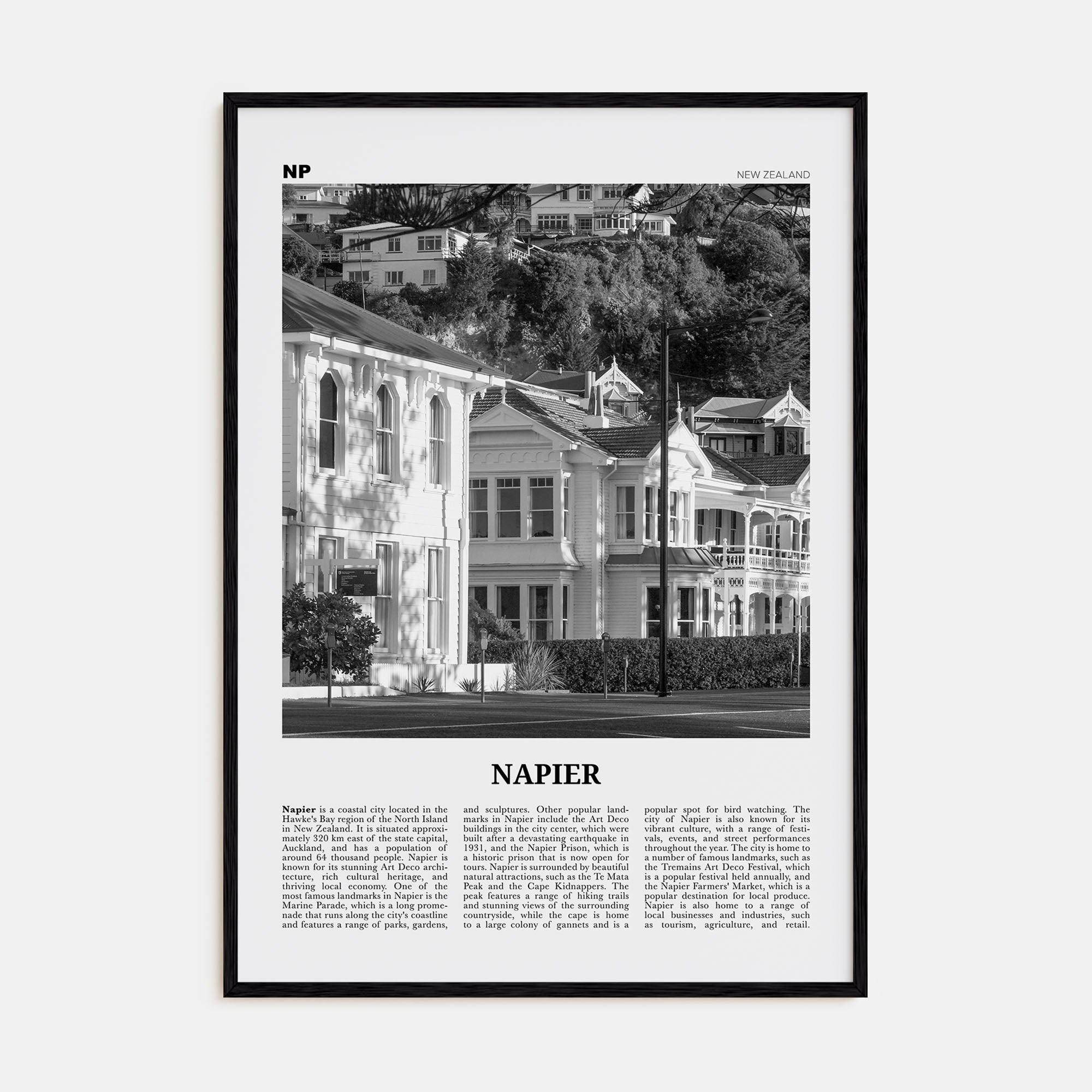 Napier Travel B&W Poster