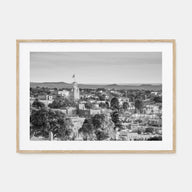 New Mexico Landscape B&W Poster