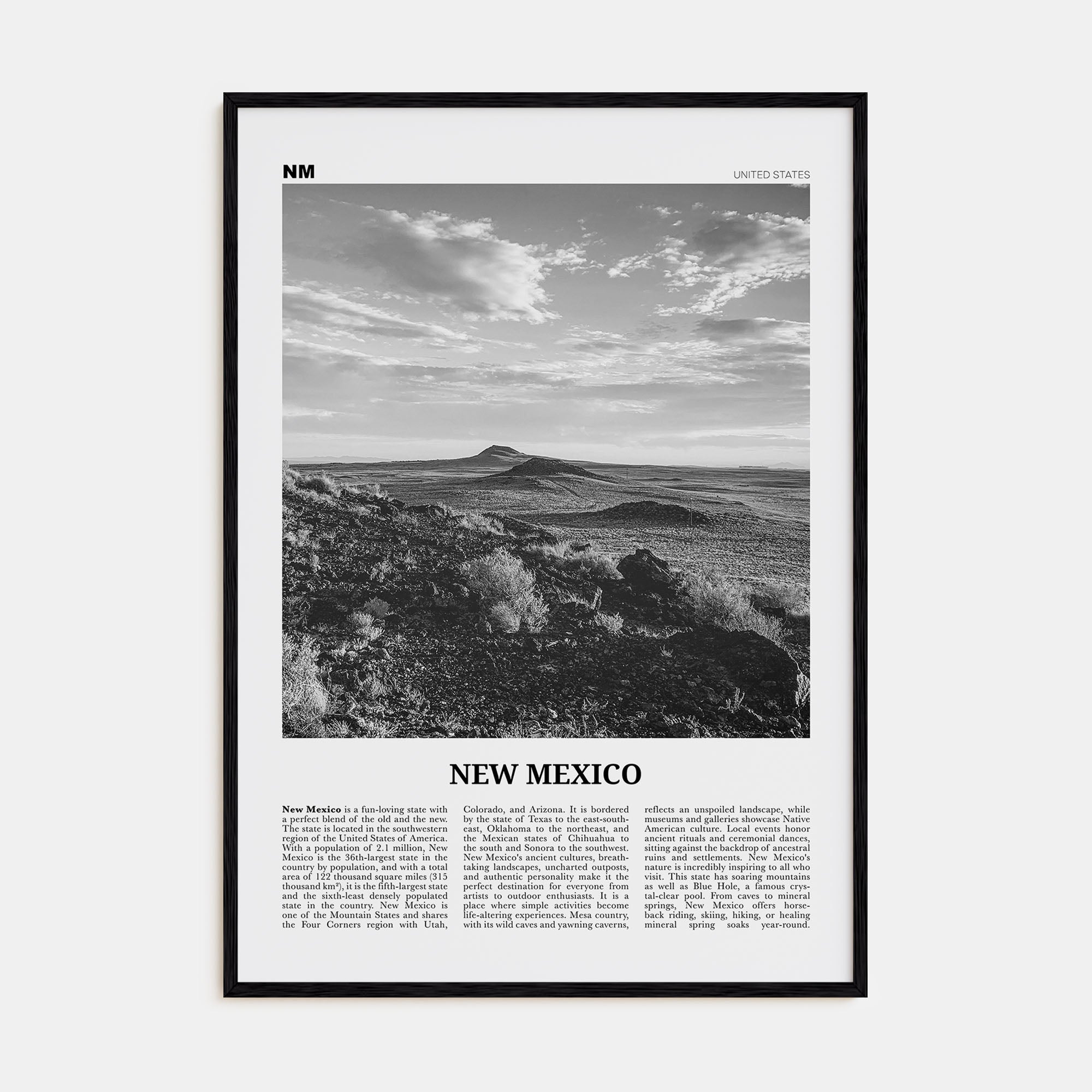 New Mexico Travel B&W No 2 Poster