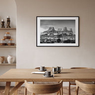 New Orleans Landscape B&W Poster
