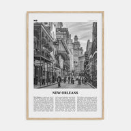 New Orleans Travel B&W No 2 Poster