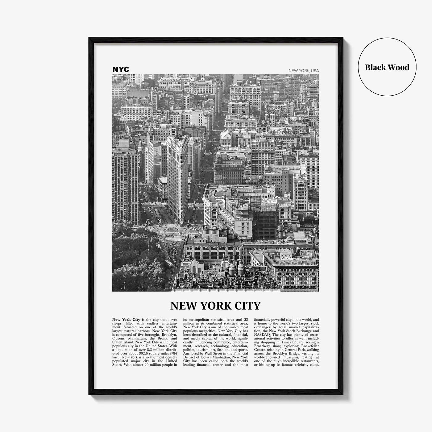 New York City Print Black and White No 6, New York Wall Art, New York Poster, New York Photo, NYC Black and White Poster Print, USA