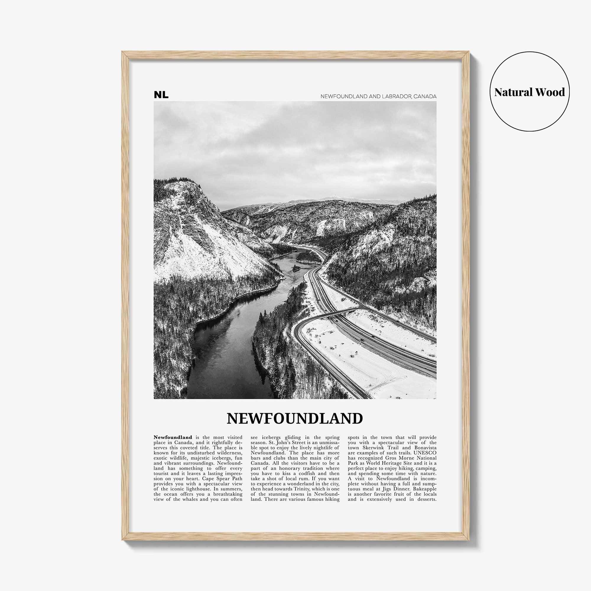 Newfoundland Print Black and White, Newfoundland Wall Art, Newfoundland Poster, Newfoundland Photo, Newfoundland Wall Décor, Canada